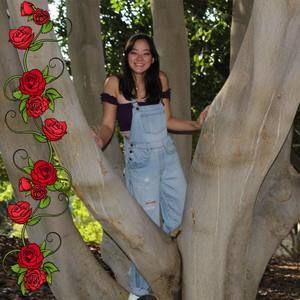 Meet your Posher, Danie